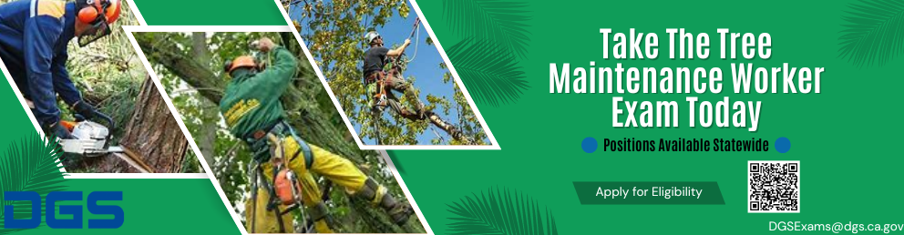 Take the tree maintenance worker exam today. Positions available statewide. Apply for Eligibility.