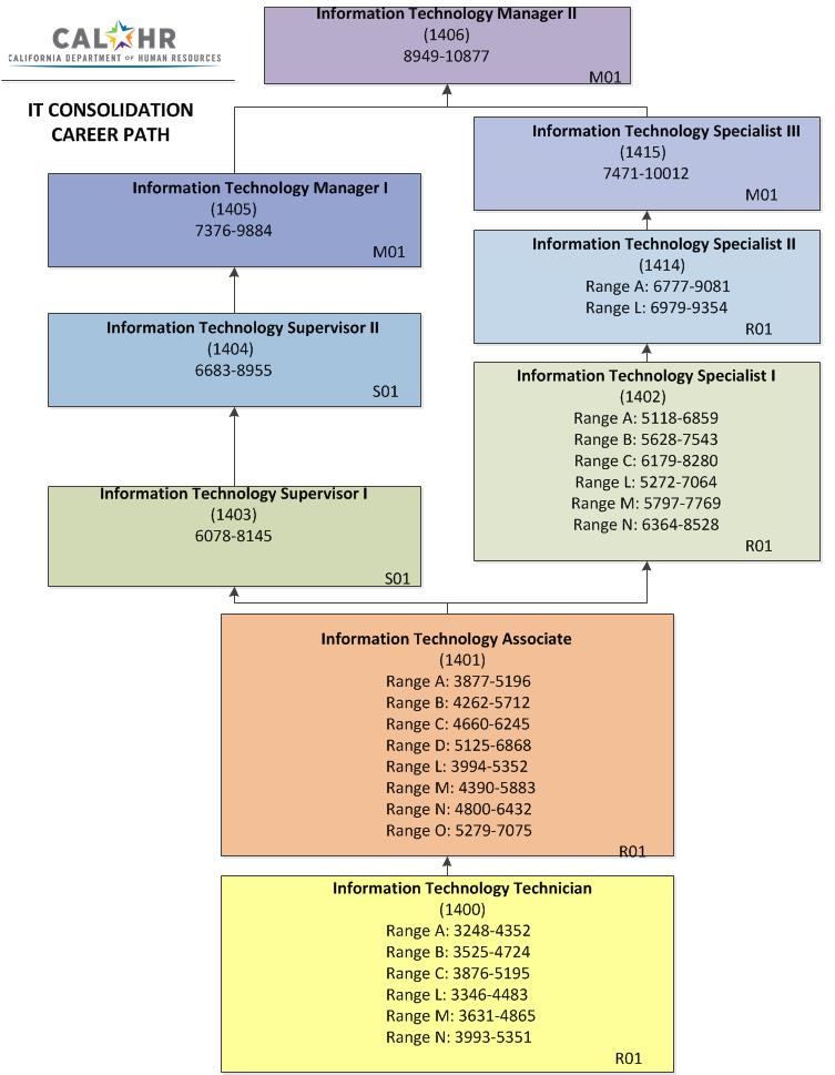 career path salaries diagram